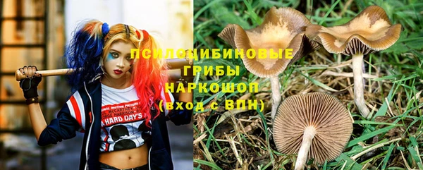 спиды Балахна
