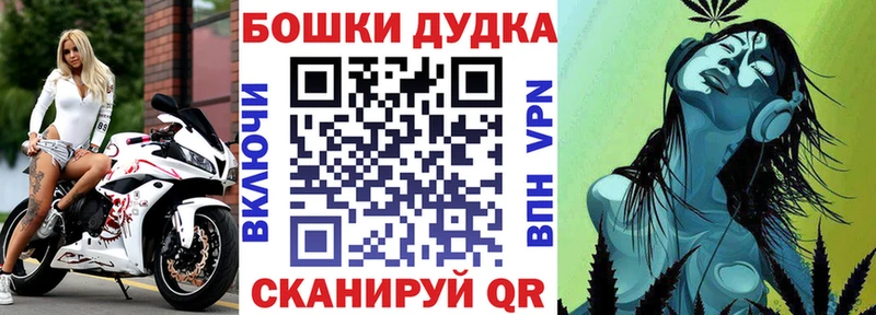 Каннабис планчик Тосно