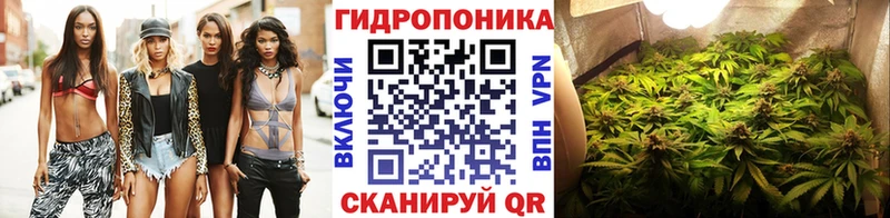 Шишки марихуана Ganja  наркота  блэк спрут ссылка  Тосно 